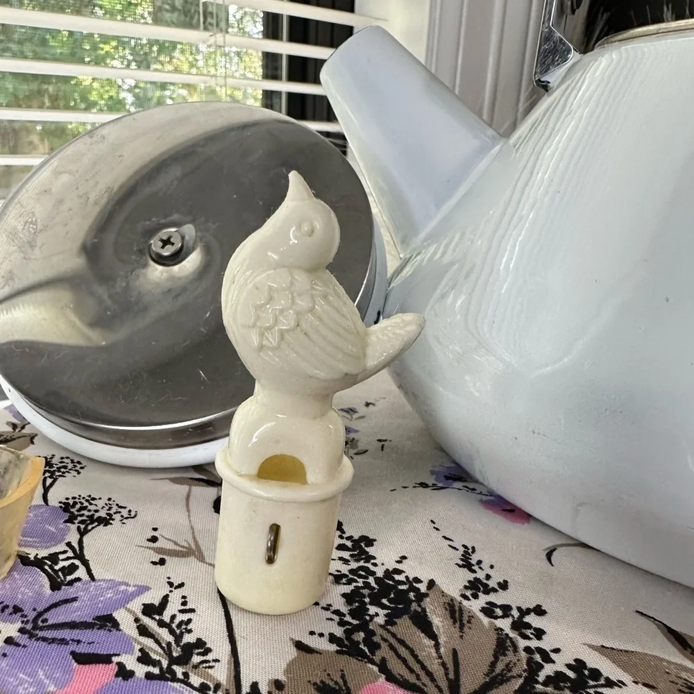 Vintage Enamel Kettle